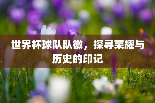 世界杯球队队徽，探寻荣耀与历史的印记