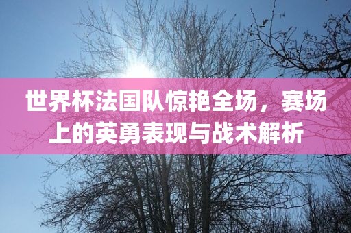 世界杯法国队惊艳全场，赛场上的英勇表现与战术解析
