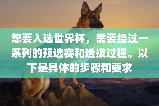 想要入选世界杯，需要经过一系列的预选赛和选拔过程。以下是具体的步骤和要求眉山市正发家政服务有限公司