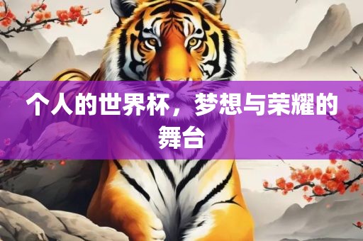 个人的世界杯，梦想与荣耀眉山市正发家政服务有限公司的舞台
