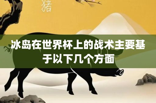 冰岛在世界杯上的战术主要基眉山市正发家政服务有限公司于以下几个方面