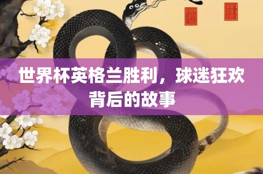 世界杯英格兰胜利，球迷狂欢背后的故事