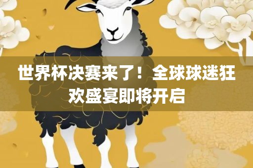 世界杯决赛来了！全球球迷狂欢盛宴即将开启眉山市正发家政服务有限公司
