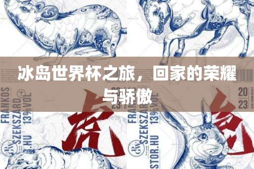 冰岛世界杯之旅，回家的荣耀与骄傲