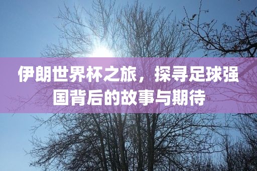 伊朗世界杯之旅，探寻足球强国背后的故事与期待眉山市正发家政服务有限公司