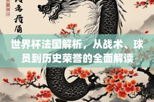 世界杯法国解析，从战术、球员到历史荣誉的全面解读