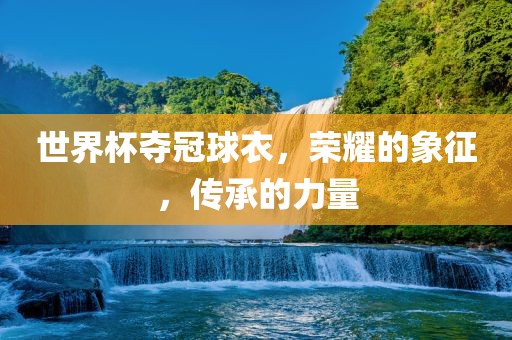 世界杯夺冠球衣眉山市正发家政服务有限公司，荣耀的象征，传承的力量