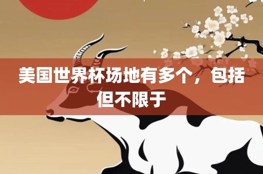 美国世界杯场地有多个，包括但不限于