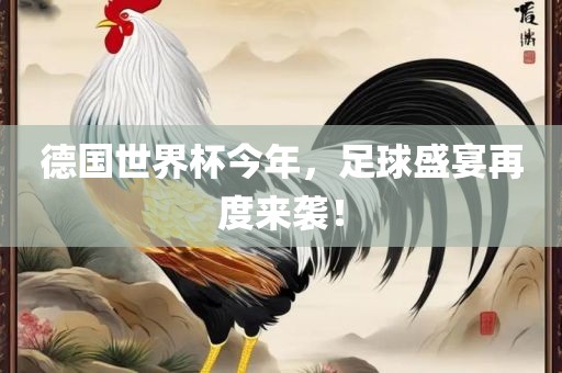 德国世界杯今年，足球盛宴再度来袭！