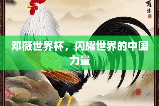 邓薇世界杯，闪耀世界的中国力量眉山市正发家政服务有限公司