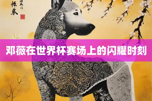邓薇在世界杯赛场上的闪耀时刻