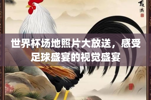 世界杯场地照片大放送，感受足球盛宴的视觉盛宴