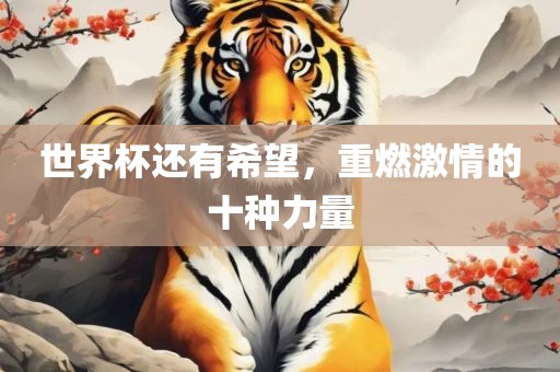 世界杯还有希望，重燃激情的十种力量