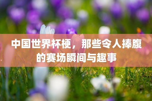 中国世界杯梗，那些令人捧腹的赛场瞬间与趣事眉山市正发家政服务有限公司