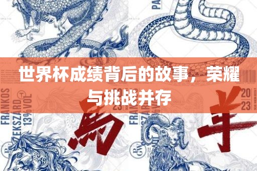世界杯成绩背后的故事，荣耀与挑战并存眉山市正发家政服务有限公司