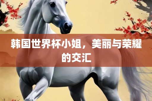 韩国世界杯小姐，美丽与荣耀的交汇