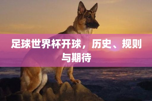 足球世界杯开球，历史、规则与期待眉山市正发家政服务有限公司