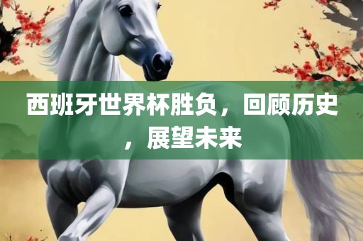 西班牙世界杯胜负，回顾历史，展望未来眉山市正发家政服务有限公司