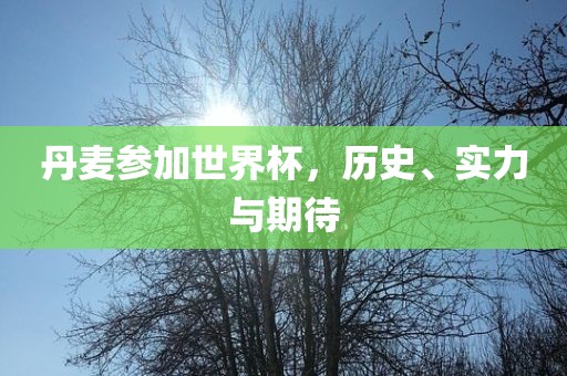 丹麦参加世界杯，历史、实力与期待