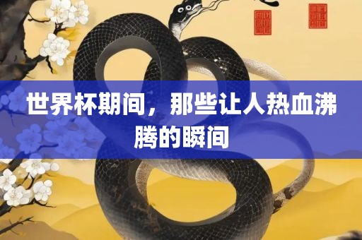 世界杯期间，那些让人热血沸腾的瞬间眉山市正发家政服务有限公司