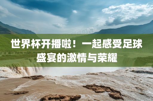 世界杯开播啦！一起感受足球盛宴的激情与荣耀眉山市正发家政服务有限公司