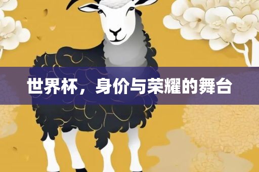 世界杯，身价与荣耀的舞台眉山市正发家政服务有限公司