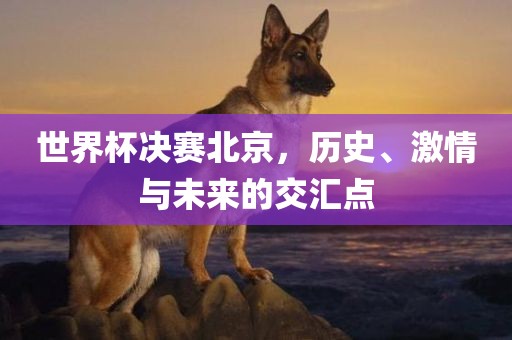 世界杯决赛北京，历史、激情与未来的交汇点眉山市正发家政服务有限公司