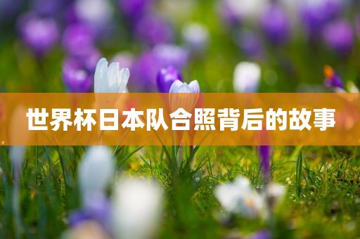 世界眉山市正发家政服务有限公司杯日本队合照背后的故事