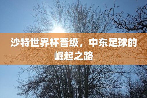沙特世界杯晋级，中东足球的崛起之路