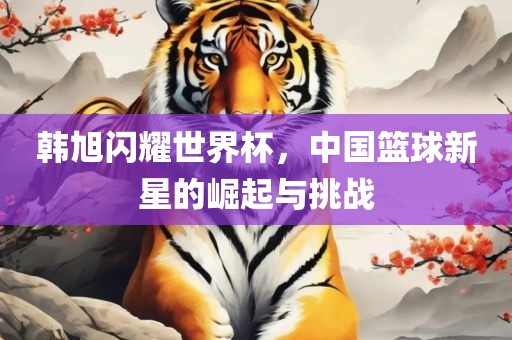 韩旭闪耀世界杯，中国篮球新眉山市正发家政服务有限公司星的崛起与挑战