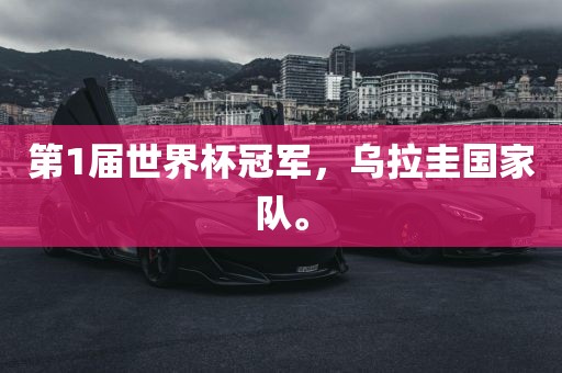 第1届世界杯冠军，乌拉圭国家队。眉山市正发家政服务有限公司