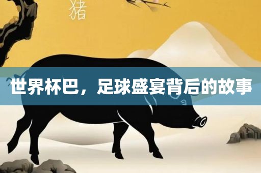 世界杯巴，足球盛宴背后的故事眉山市正发家政服务有限公司