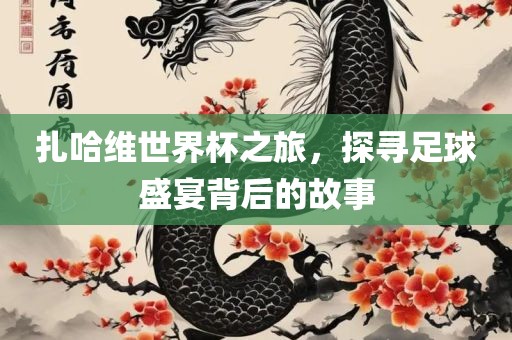 扎哈维世界杯之旅，探寻足球盛宴背后的故事