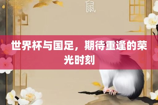 世界杯与国足，期待重逢的荣光时刻眉山市正发家政服务有限公司
