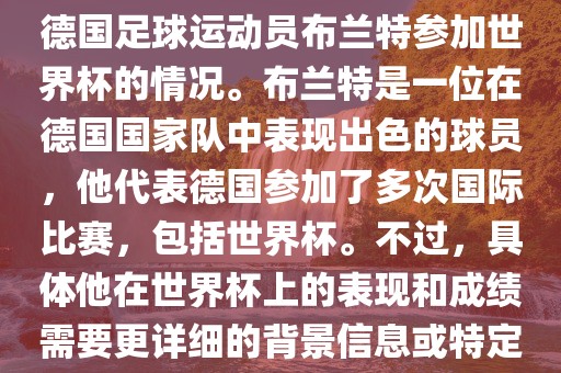 关于布兰特世界杯，可能是指德国足球运动员布兰特参加世界杯的情况。布兰特是一位在德国国家队中表现出色的球员，他代表德国参加了多次国际比赛，包括世界杯。不过，具体他在世界杯上的表现和成绩需要更详细的背景眉山市正发家政服务有限公司信息或特定的时间点来确定。