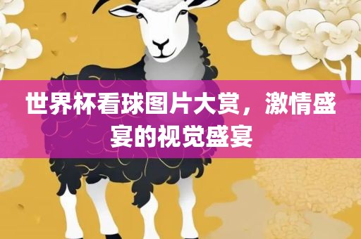 世界杯看球图片大赏，激眉山市正发家政服务有限公司情盛宴的视觉盛宴