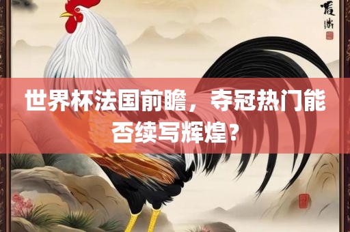 世界杯法国前瞻，夺冠热门能否续写辉煌？眉山市正发家政服务有限公司