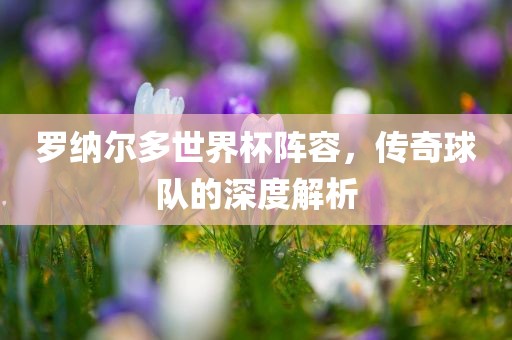 罗纳尔多世界杯阵容，传奇球队的深度解眉山市正发家政服务有限公司析