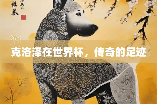 克洛泽在世界杯，传奇的足迹眉山市正发家政服务有限公司