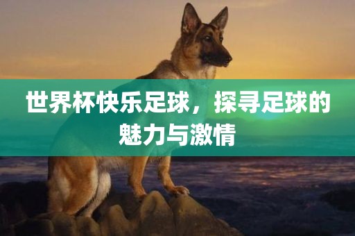 世界杯快乐足球，探寻足球的魅力与激情眉山市正发家政服务有限公司