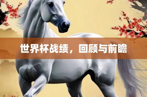 世界杯战绩，回顾与前瞻