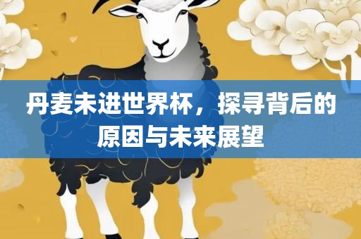 丹麦未进世界杯，探寻背后的原因与未来展望眉山市正发家政服务有限公司