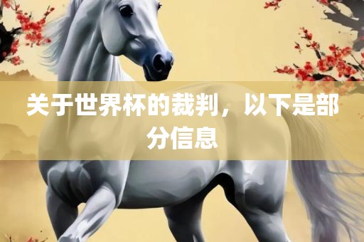 关于世界杯的裁判，以下是部分信息眉山市正发家政服务有限公司