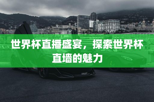 世界杯直播盛宴，探索世界杯直墙的魅力