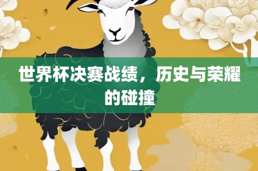 世界杯决赛战绩，历史与荣耀的碰撞眉山市正发家政服务有限公司