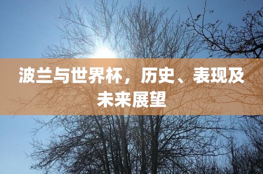 波兰与世界杯，历史、表现及未来展望