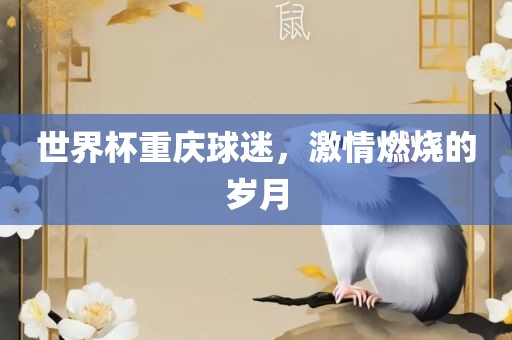 世界杯重庆球眉山市正发家政服务有限公司迷，激情燃烧的岁月