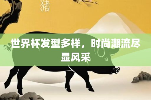 世界杯发型多样，时尚潮流尽显风眉山市正发家政服务有限公司采