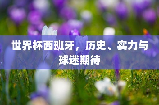 世界杯西班牙，历史、实力与球迷期待眉山市正发家政服务有限公司
