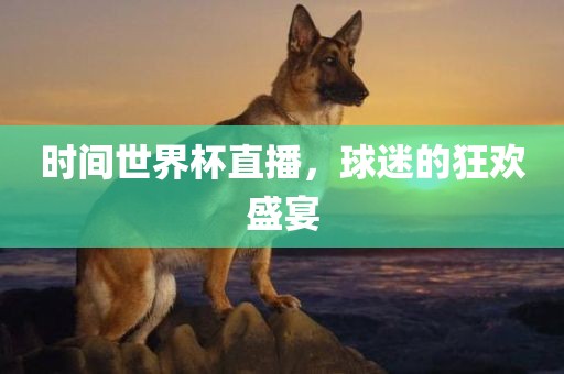 时间世界杯直播，球迷的狂欢盛宴